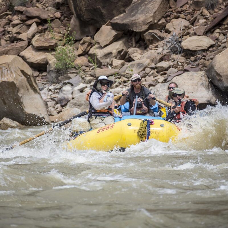 Three guests and a guide in an OARS raft going through a small rapid on the Green River through Desolation Canyon in Utah.