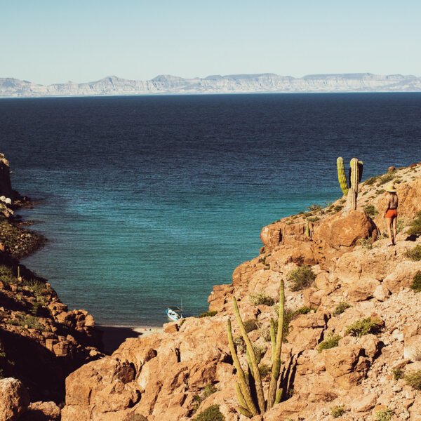 A woman high up on a rocky mountainside overlooks the ocean below as cacti jut out of the rocks around her.