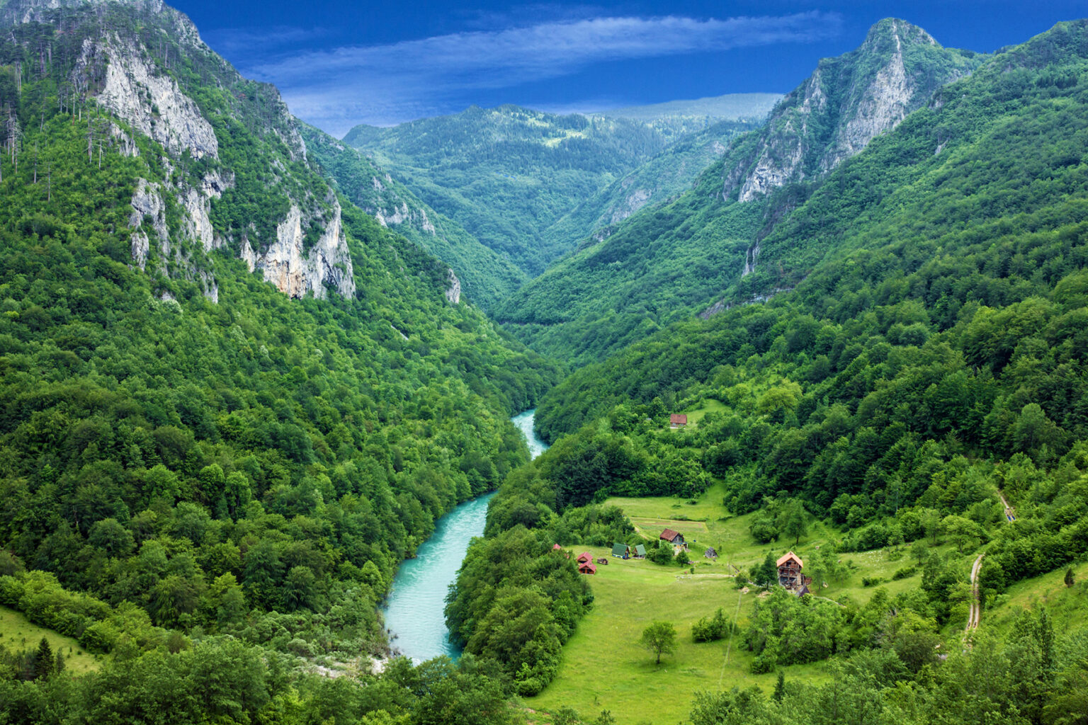 Scenic arial shot of a river through lush rainforest in Croatia