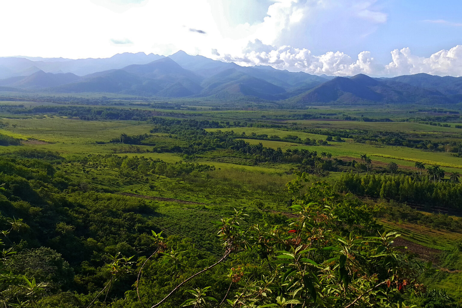 Wide view of the vibrant green landscape of Cuba with verdant mountains rising in the background.