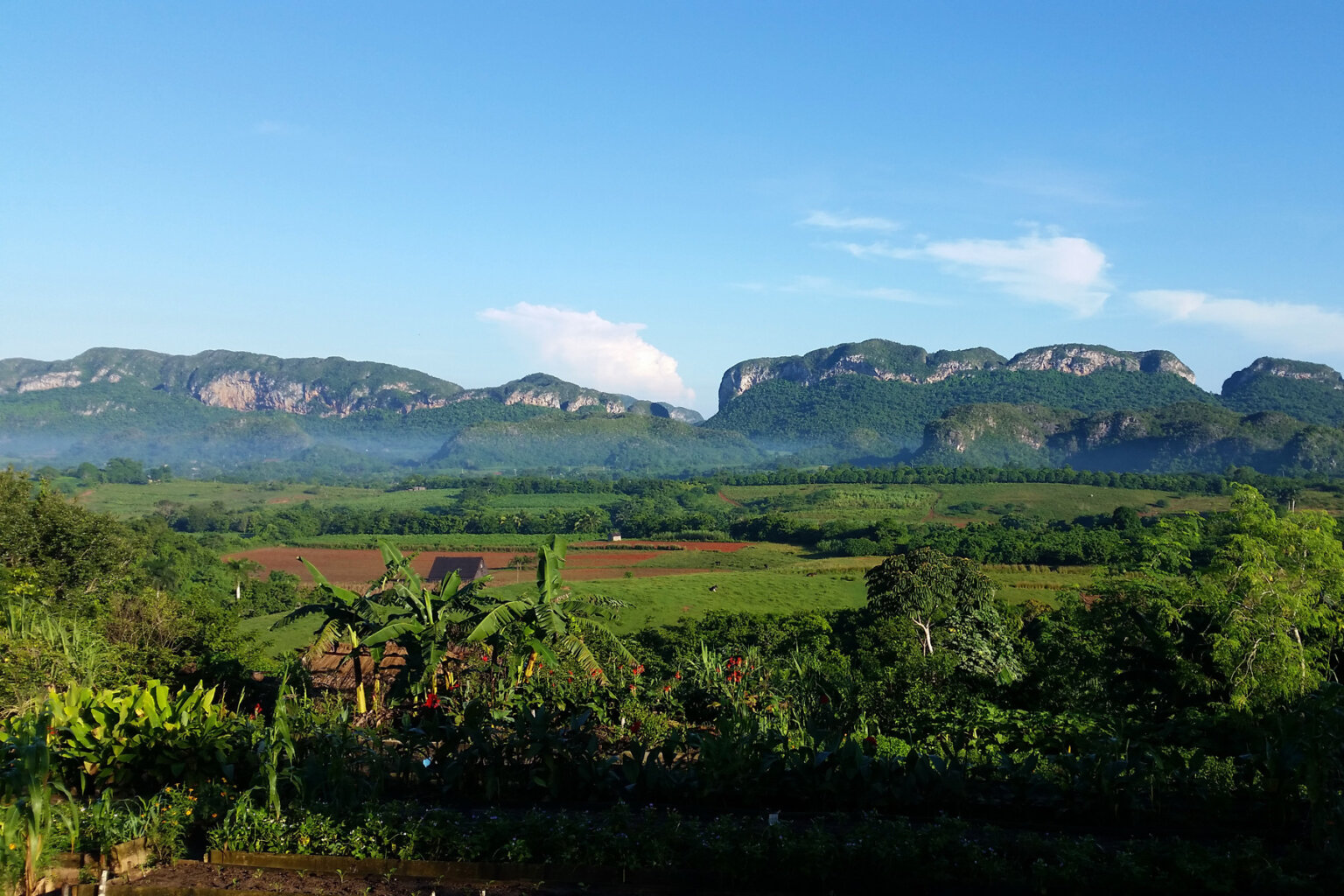 Wide view of the vibrant green landscape of Cuba with verdant mountains rising in the background.