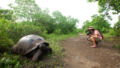 11 Amazing Creatures You’ll Meet in the Galapagos