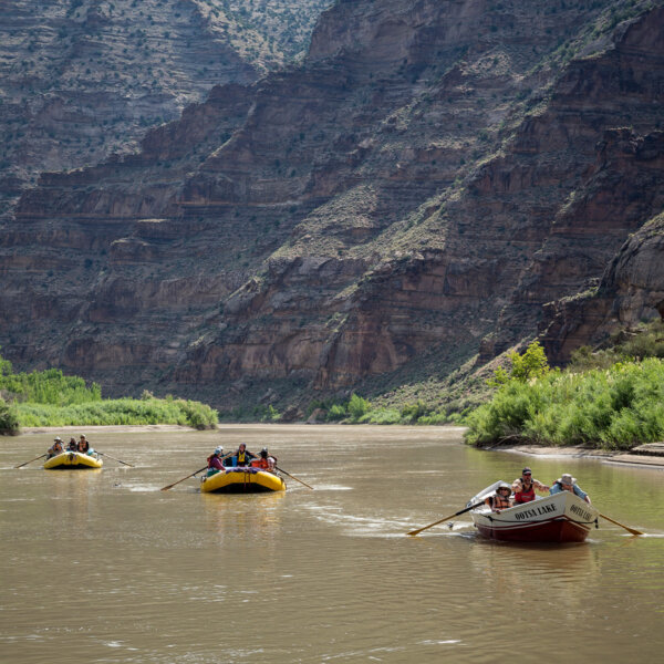 Two yellow rafts and a dory make their way downriver on an OARS John Wesley Powell Retrace trip