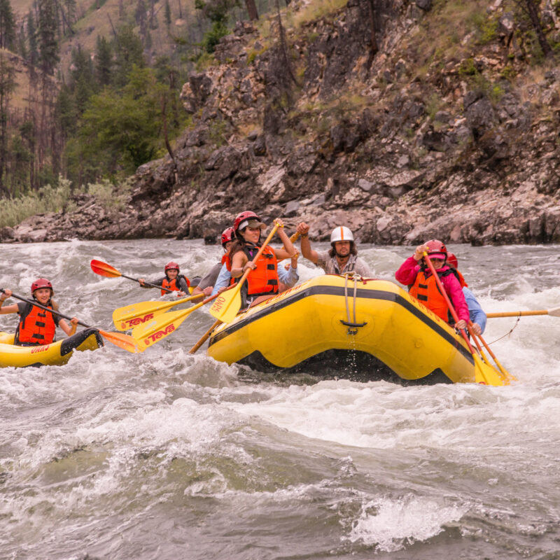 A paddle boat full of people and two solo kayakers take on a rapid on the Main Salmon River in Idaho.