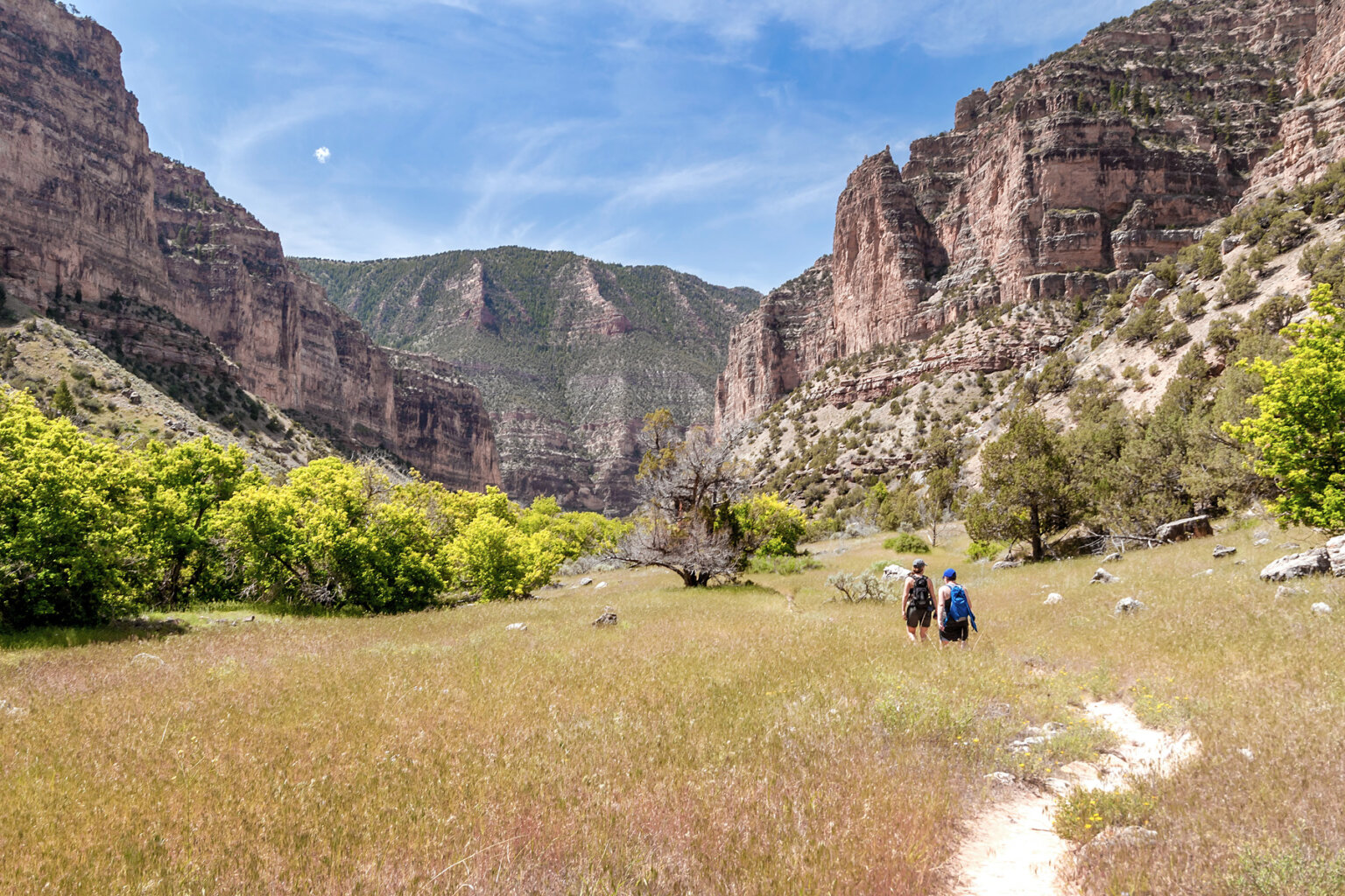 Two hikers walk along a flat trail carved into golden grasses and canyon walls rise in the distance.