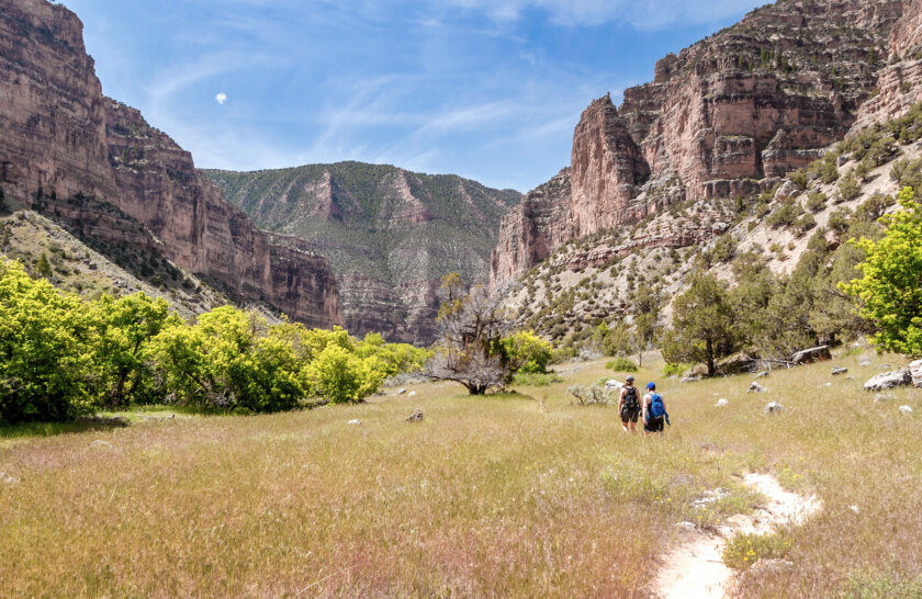 Two hikers walk along a flat trail carved into golden grasses and canyon walls rise in the distance.