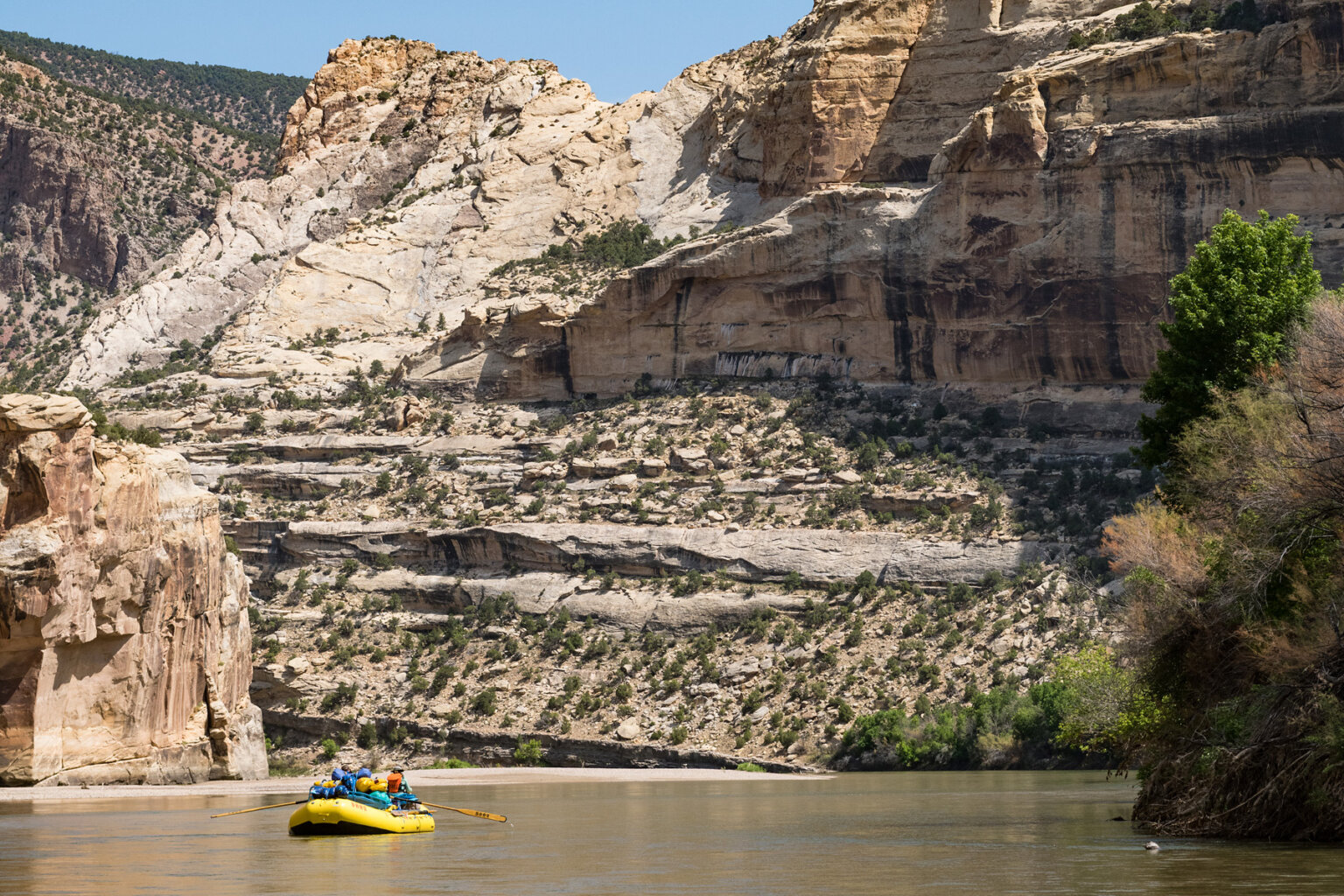 A yellow oar raft is rowed downstream as canyon walls rise all around the Green River through the Gates of Lodore.