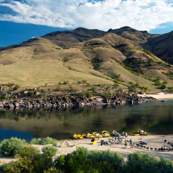 Several OARS boats lined up on a beach at camp on the Lower Salmon River.