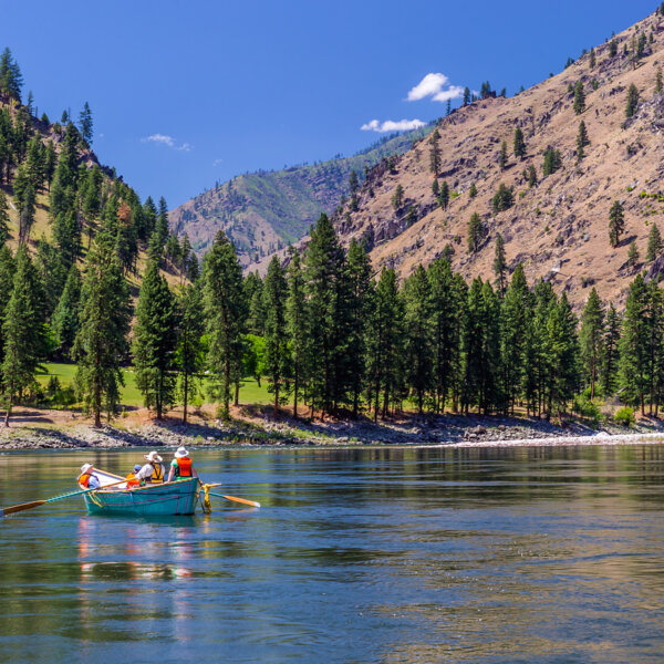 A dory floats down the Salmon River with a tree studded shoreline and mountains in the background.