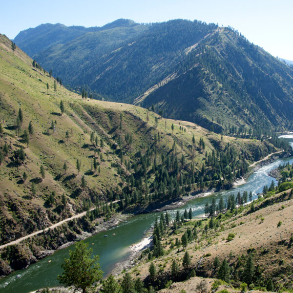 Landscape view of the Main Salmon River in Idaho.