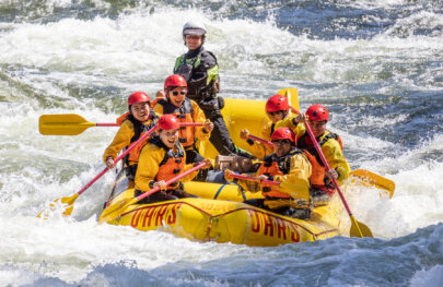 A raft full of ecstatic paddlers and a guide as they row through a stretch of frothy whitewater.