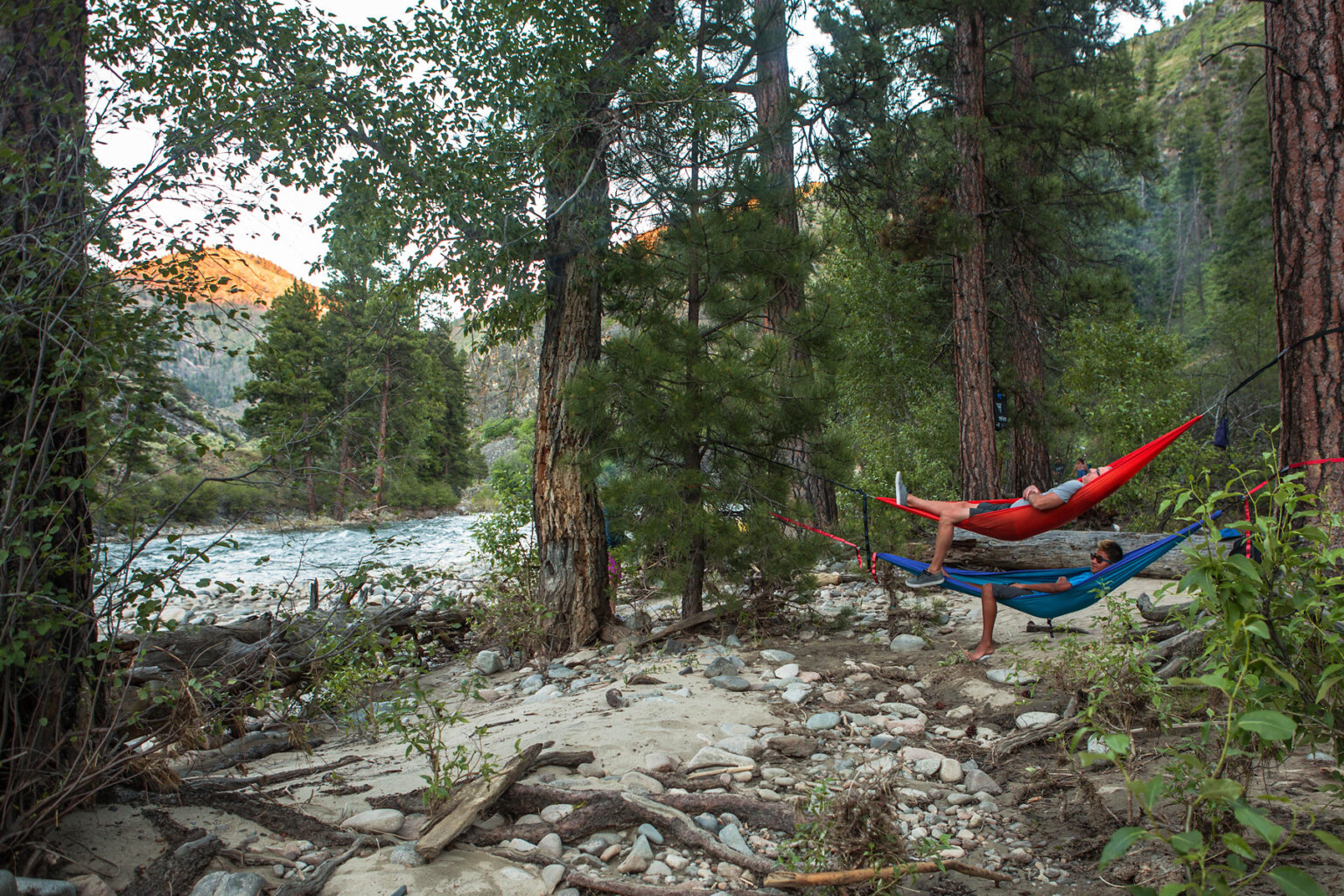 Two guests lay back in hammocks amongst the trees on the shore of the Middle Fork of the Salmon River in Idaho.