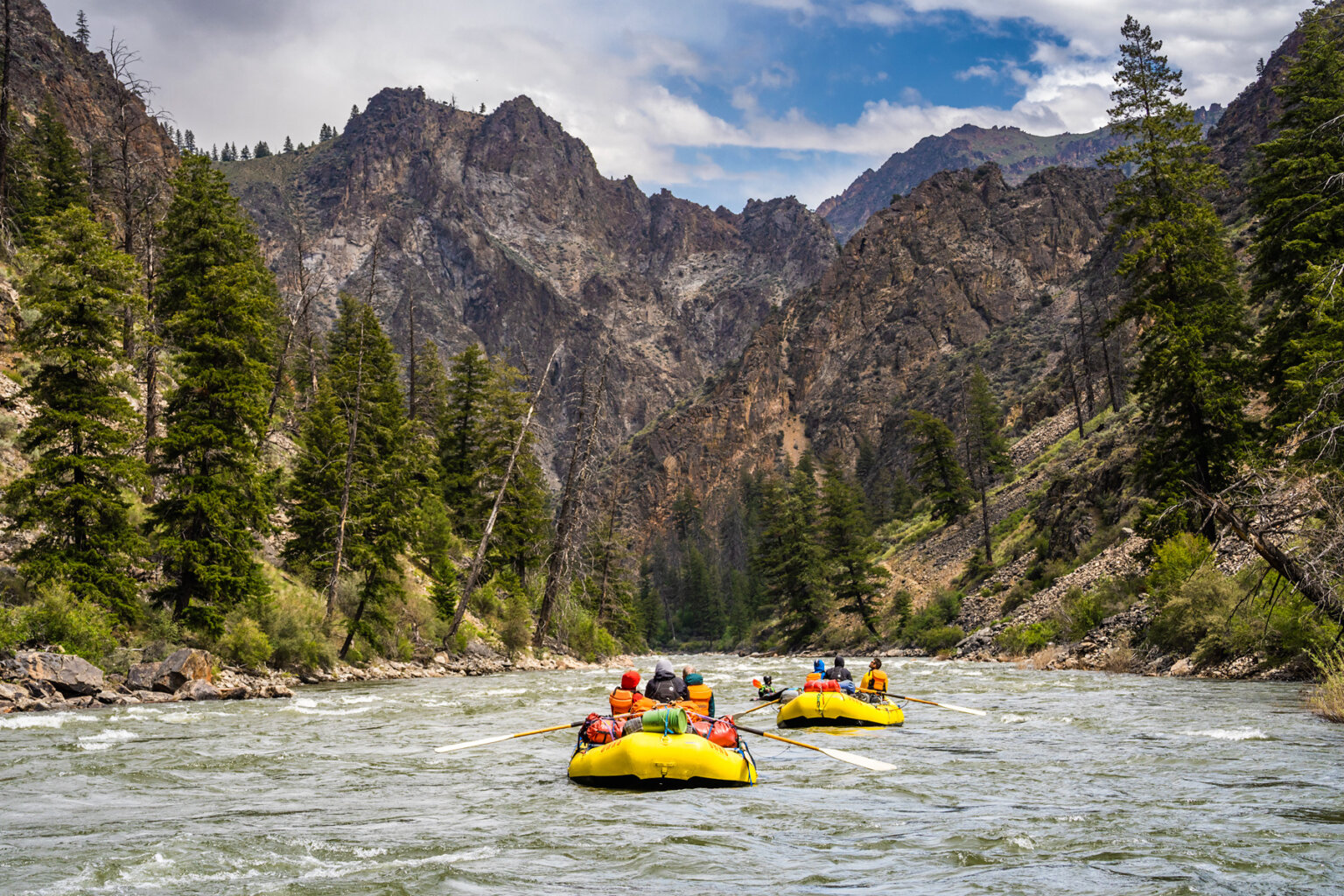 Two yellow oar rafts and a kayaker row downstream as pine tree studded mountains rise around them on the Middle Fork Salmon River in Idaho.