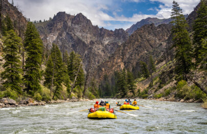 Two yellow oar rafts and a kayaker row downstream as pine tree studded mountains rise around them on the Middle Fork Salmon River in Idaho.