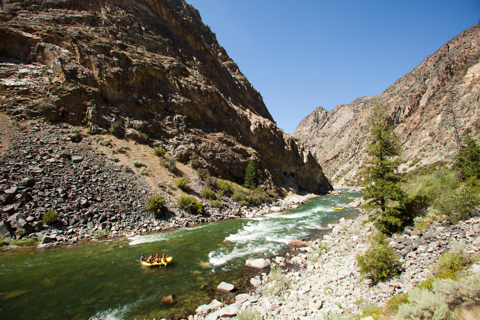 Landscape view of yellow rafts heading downstream on the Middle Fork Salmon River in Idaho.