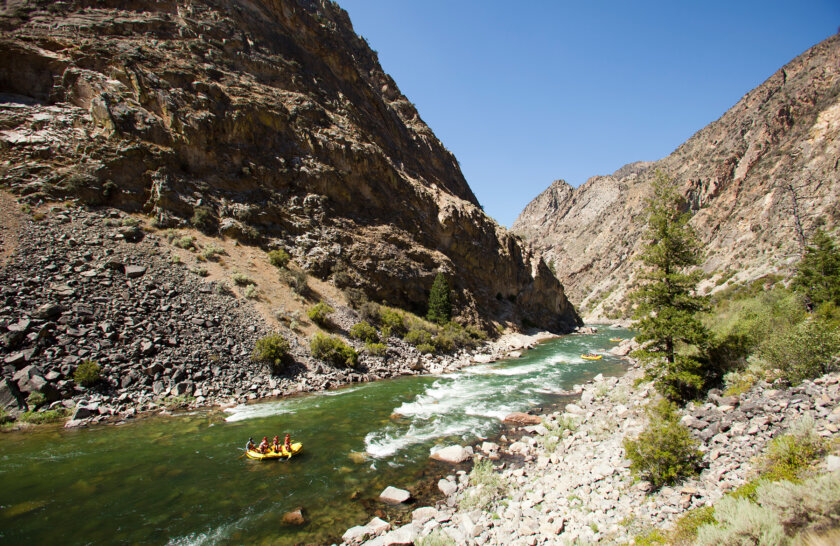 Landscape view of yellow rafts heading downstream on the Middle Fork Salmon River in Idaho.