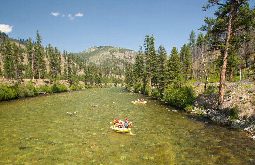 Landscape view of two yellow rafts making their way downstream on the Middle Fork of the Salmon River in Idaho.