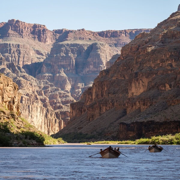 Dories row down the Colorado River in Grand Canyon