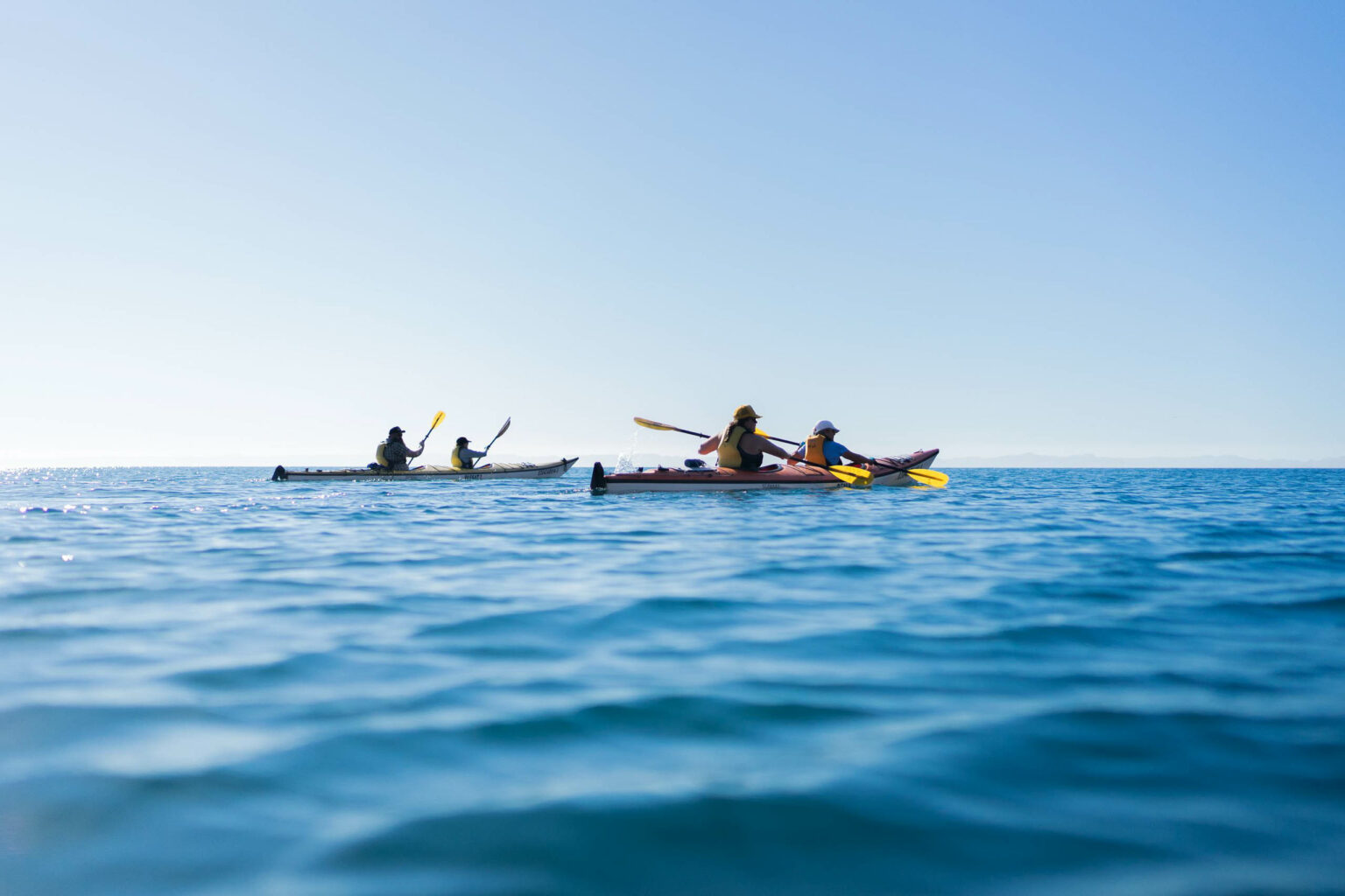 Group of people sea kayaking.
