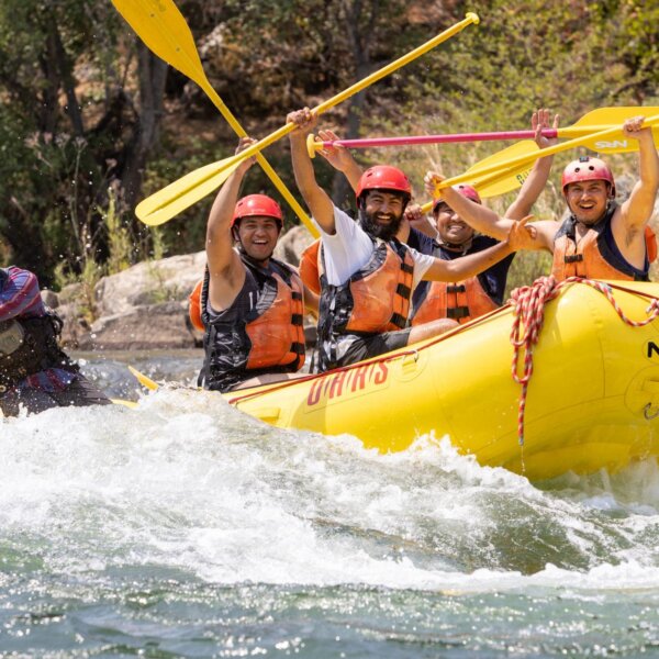 A group of rafters hold up their paddles while smiling coming out of a small rapid as the guide paddles.