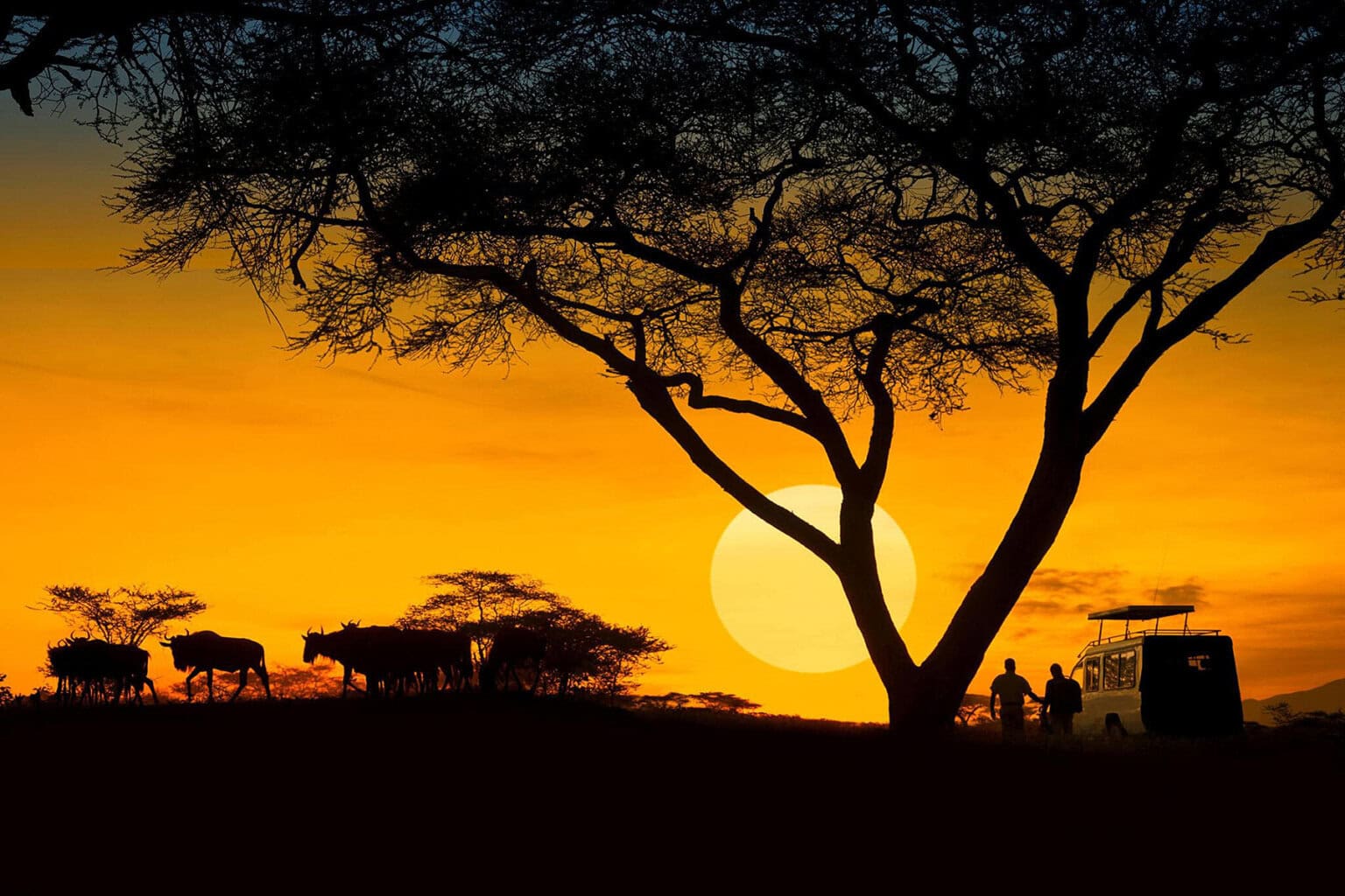 Silhouetted cattle and a couple walking beside a safari vehicle under a vibrant sunset sky with a large sun and trees in Tanzania