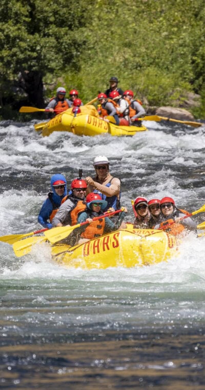 Two yellow rafts navigate through swift river rapids, surrounded by lush greenery under a bright sunny sky.