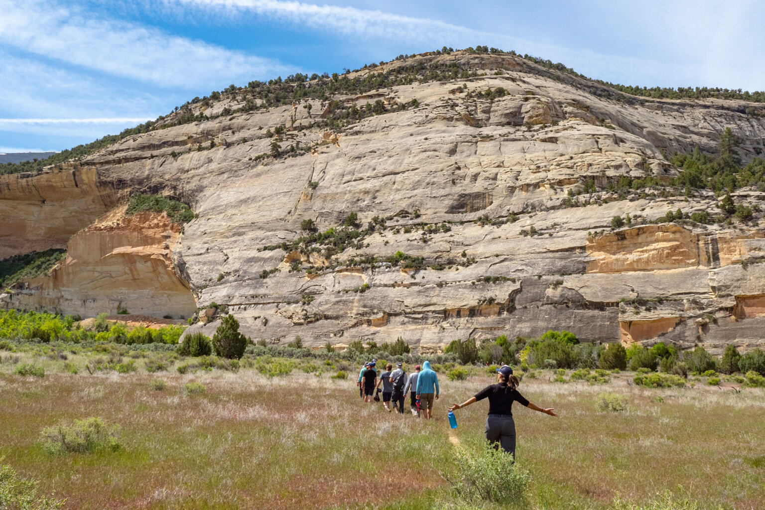 A group of hikers walk in a single line along a trail in a grassy field towards a mountain on a Yampa River trip in Utah.