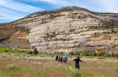 A group of hikers walk in a single line along a trail in a grassy field towards a mountain on a Yampa River trip in Utah.