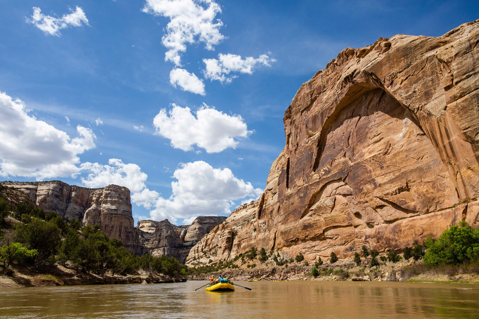 Landscape view of several yellow boats rowing downstream on the Yampa River as the canyon walls rise around them.