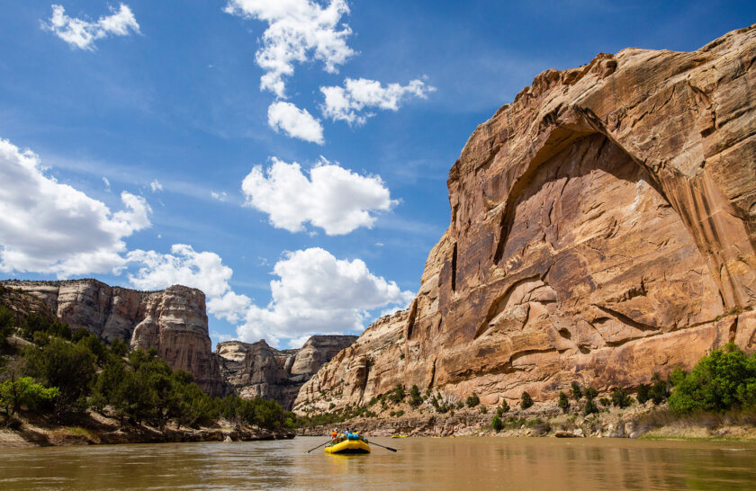 Landscape view of several yellow boats rowing downstream on the Yampa River as the canyon walls rise around them.