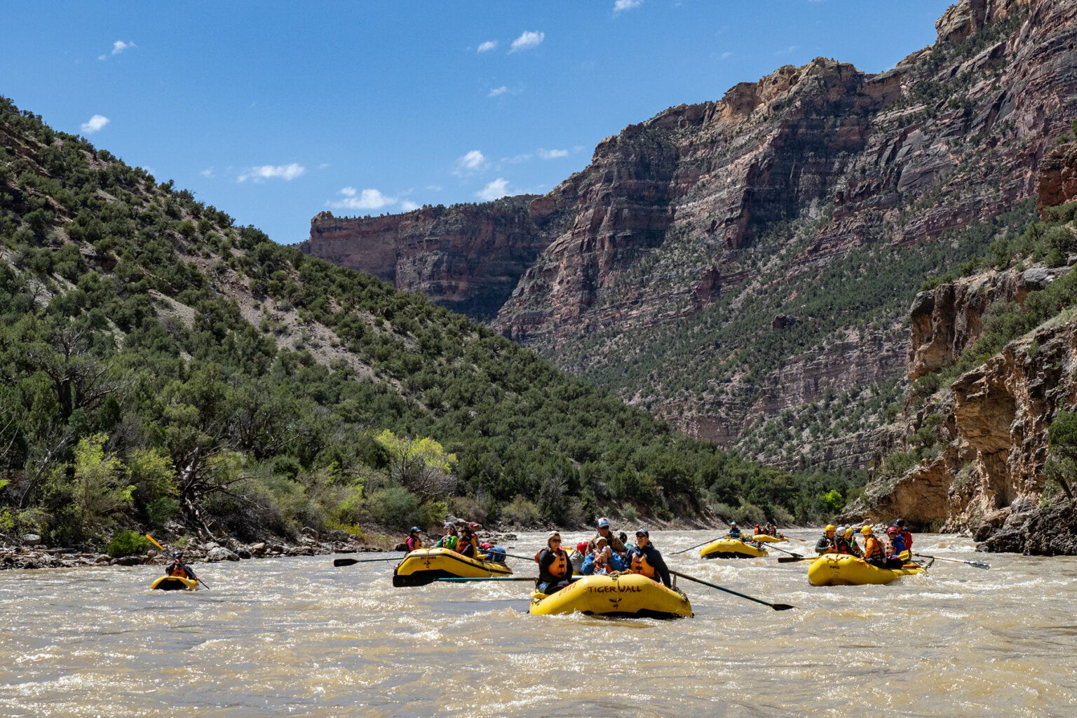 Several yellow rafts full of guests row down the Yampa River.