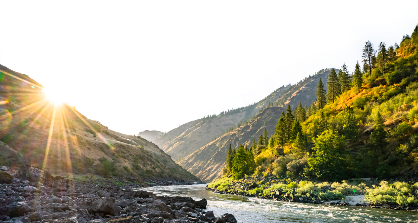 Vibrant green and golden rolling hills light up with the setting sun creating a sunburst while the river flows downstream.
